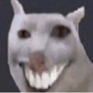 Meet your Posher, Camila